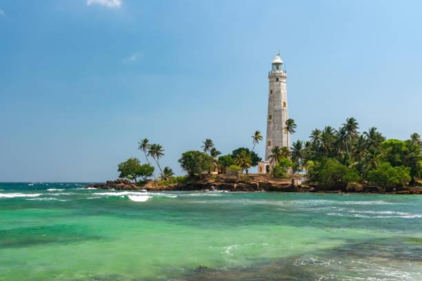 Lighthouse surrounded by tropical greenery