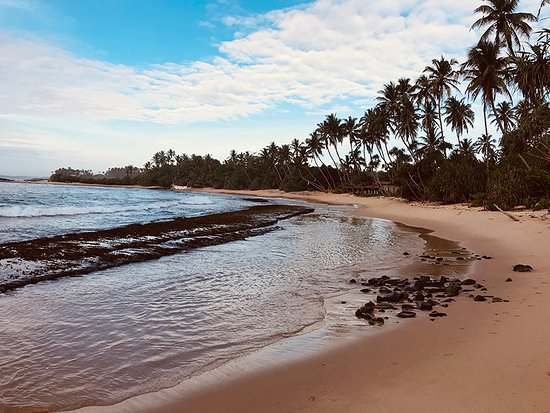 Beachside resort view